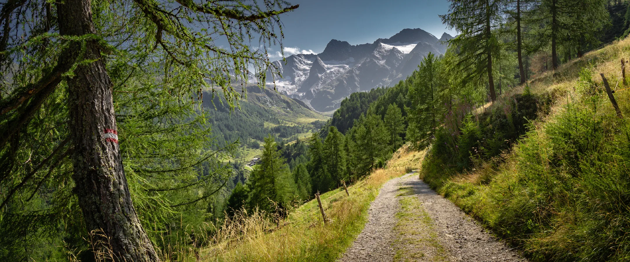 Way to Seeber Alm