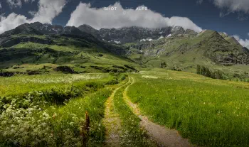 Liebenerspitze