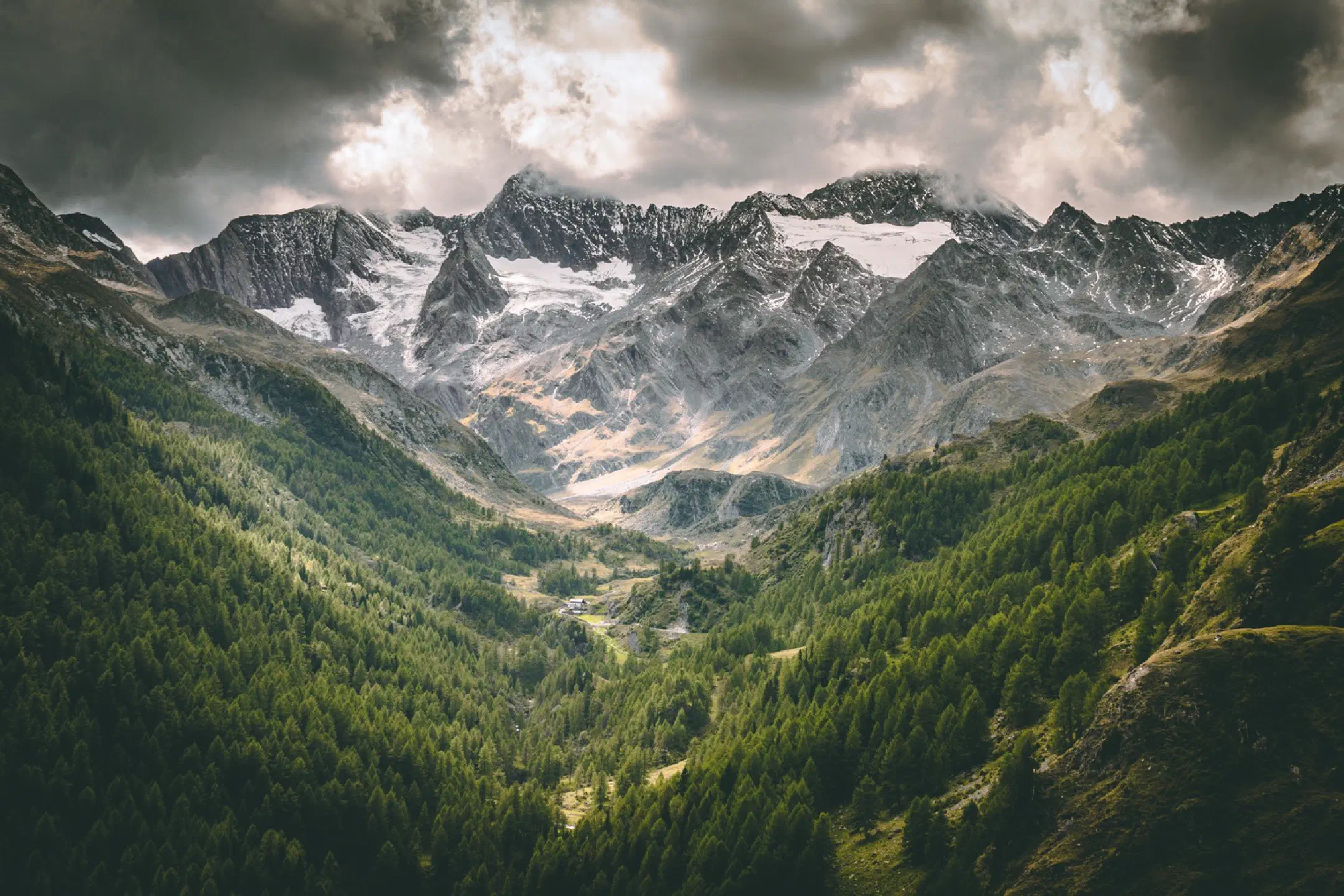 Liebenerspitze