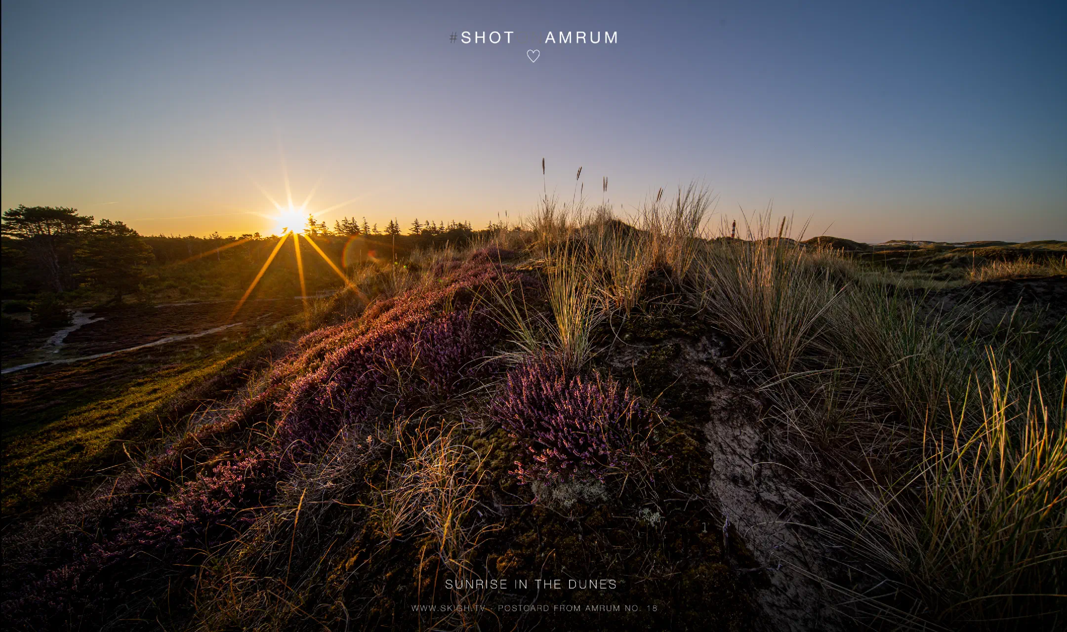 Sunrise in the dunes