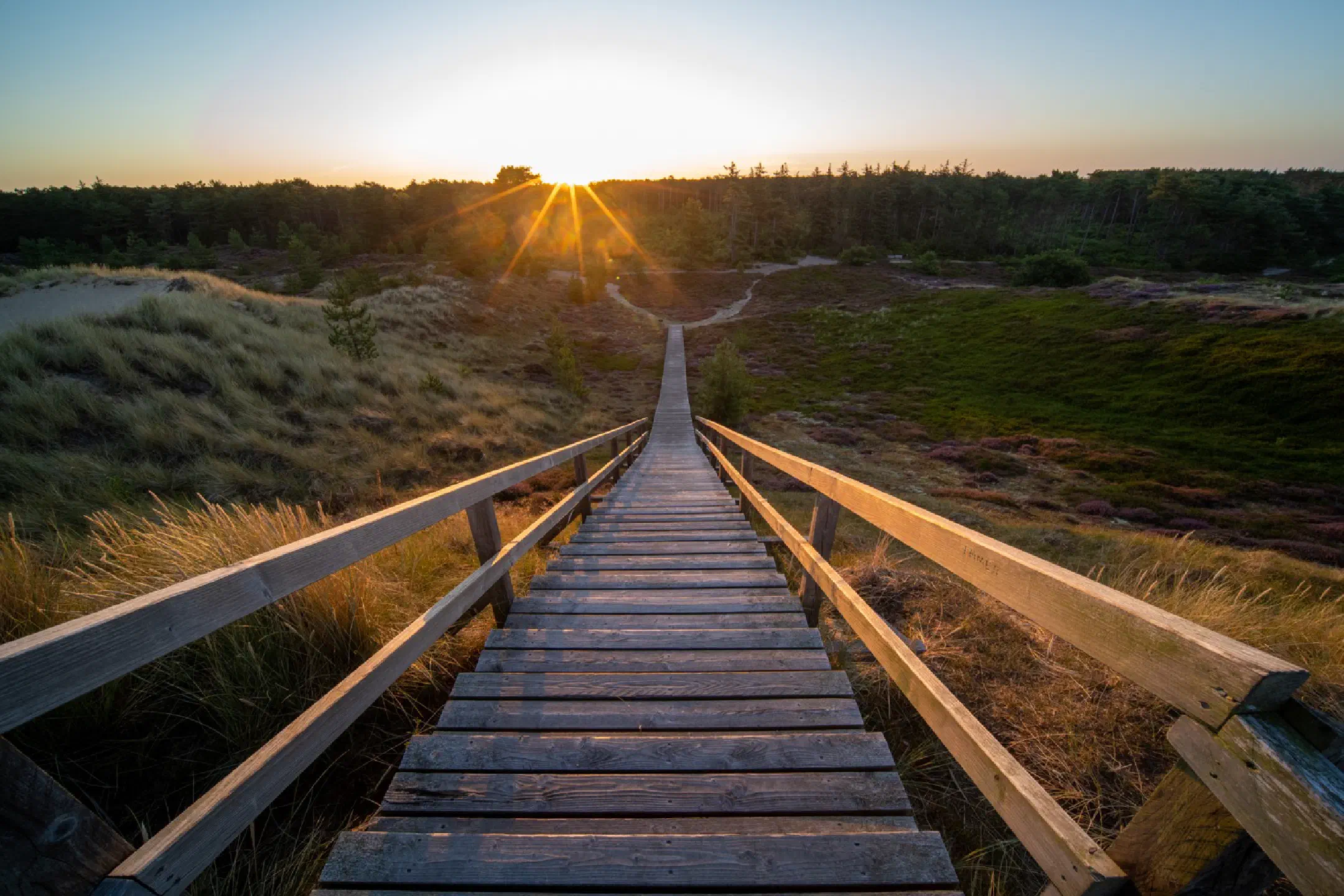 Sunrise in the dunes