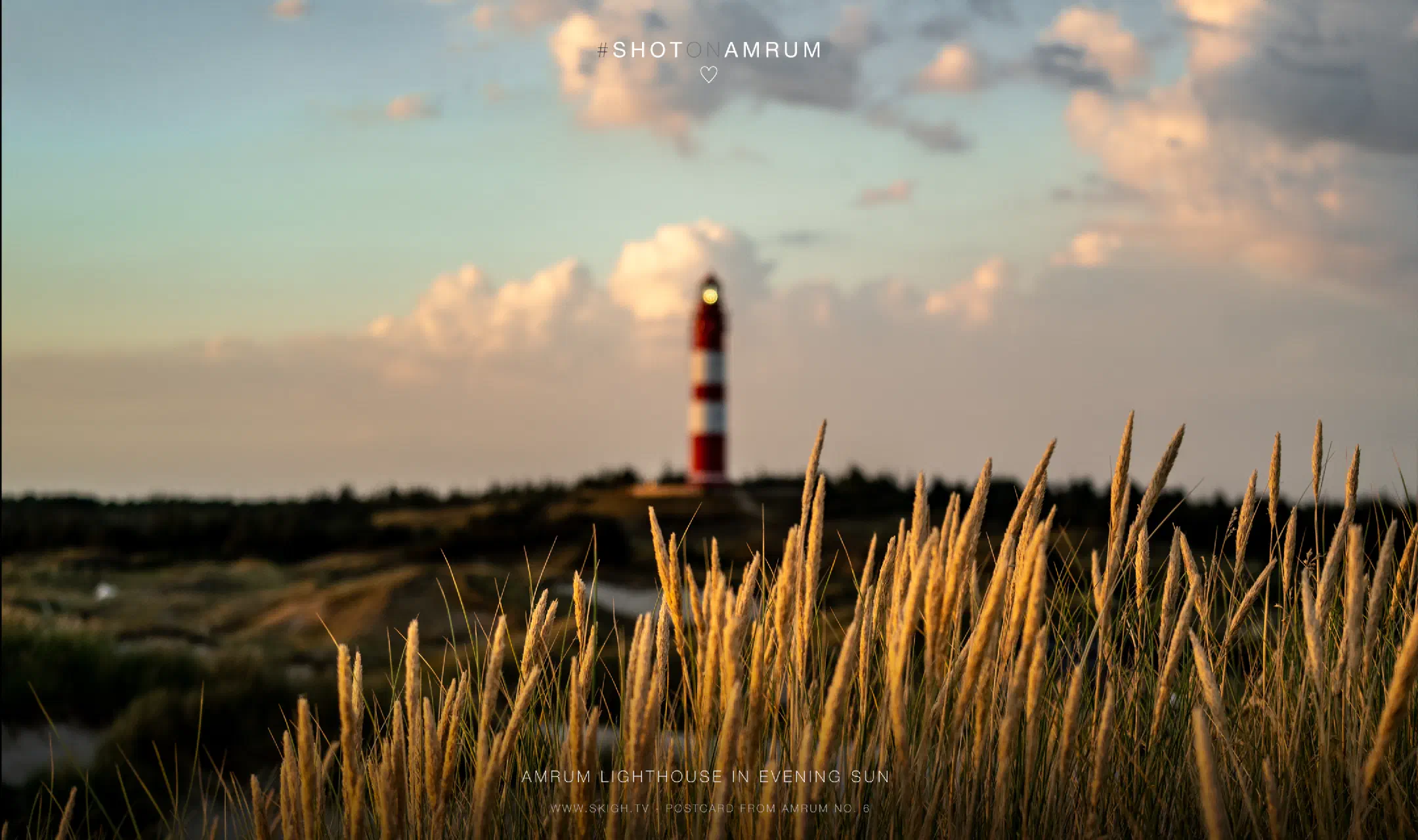 Amrum Lighthouse in Evening Sun