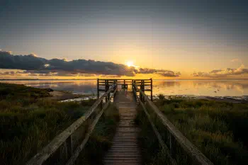 Wadden Sea Morning