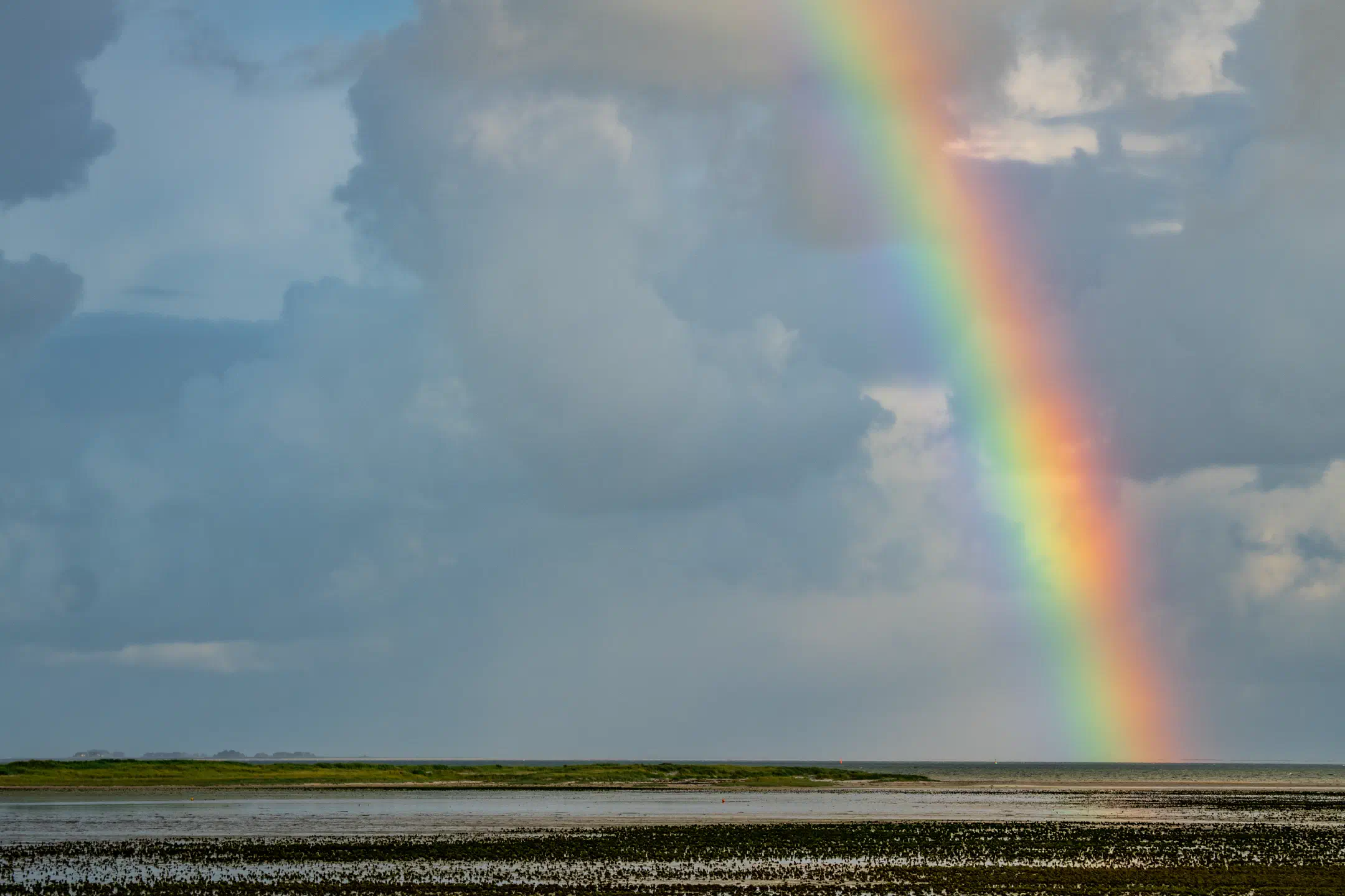 Rainbow