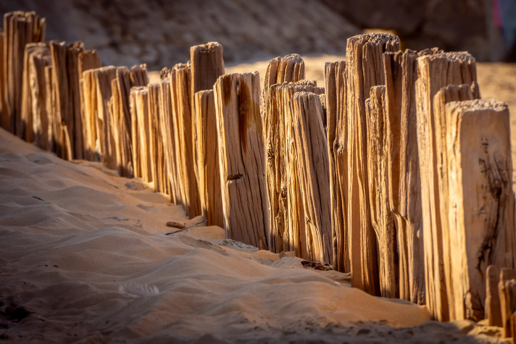 Beach Defense Array