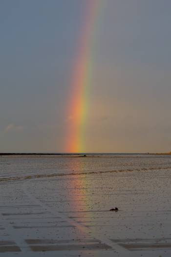 Rainbow Reflections | 1/125s * f5.6 * ISO 640 * 70mm - E 70-350mm F4.5-6.3 G OSS - Sony α6700 Rainbow Reflections