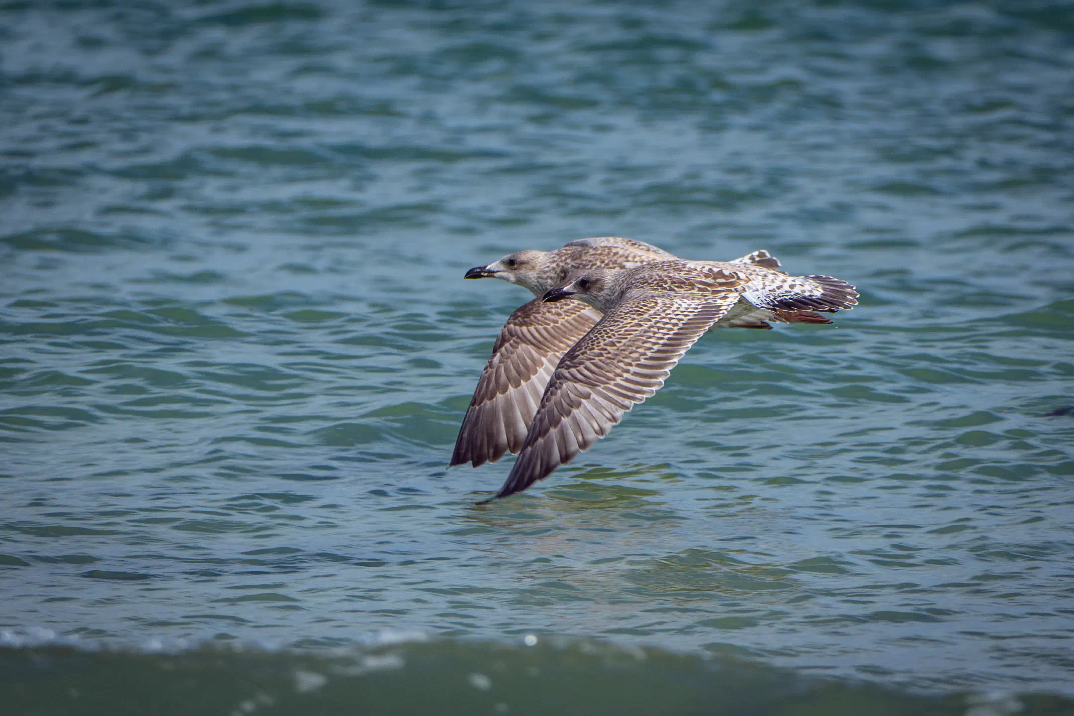 Formation Flight