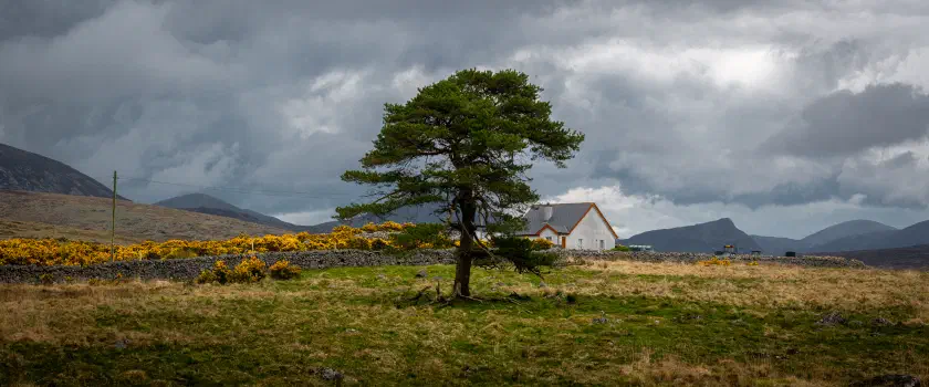 Crocknafeola Forest, Northern Ireland