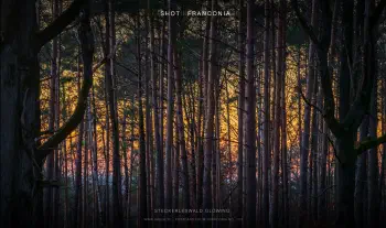 Steckerleswald glowing