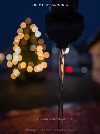 Fountain and Christmas tree