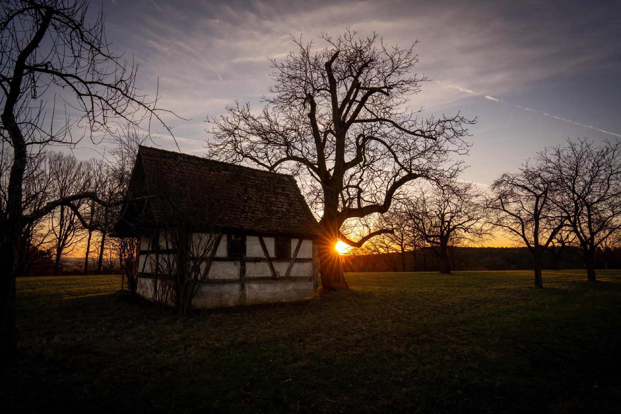 Treehouse Sunset