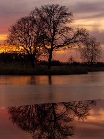 Neu Weiher