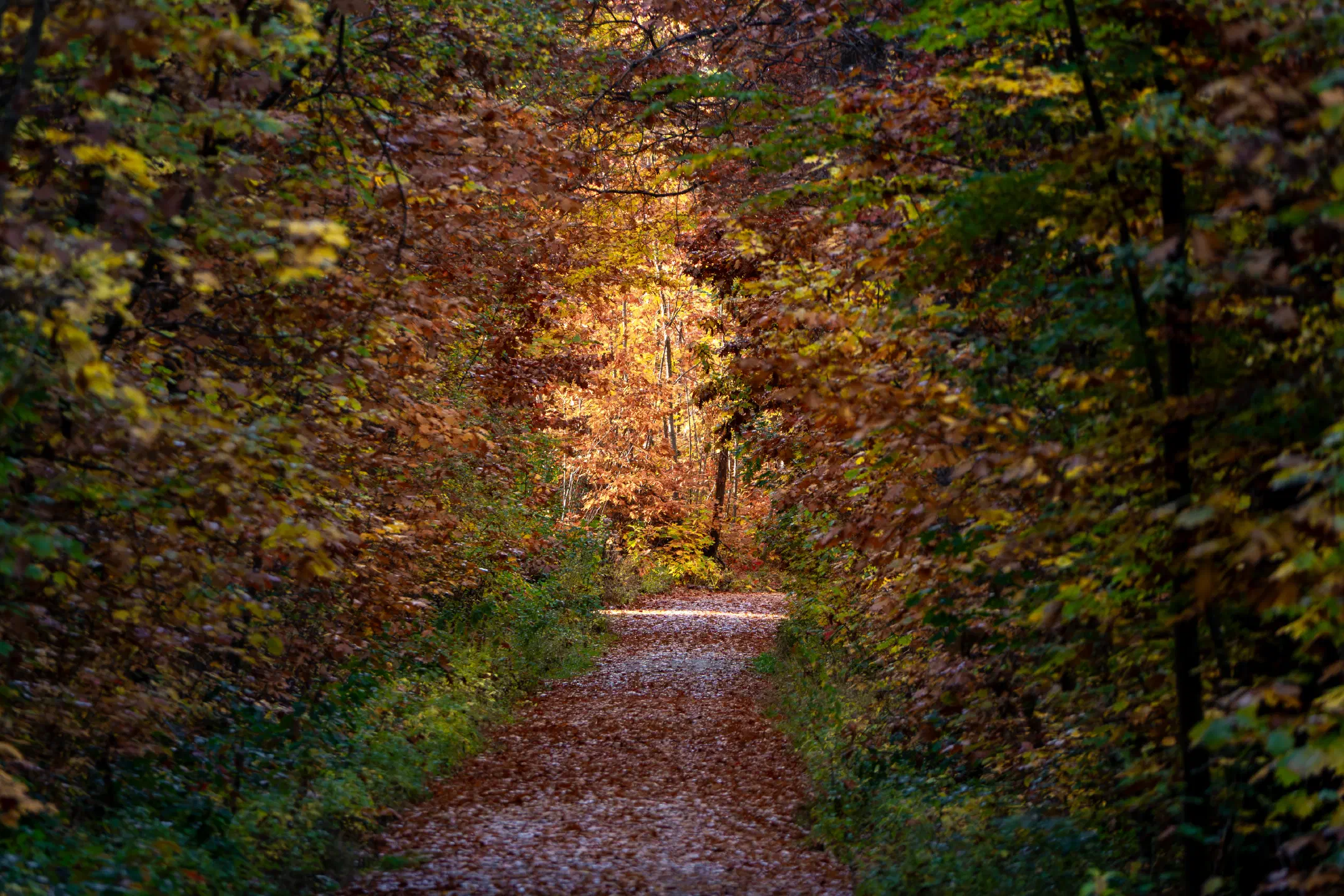 Tunnel