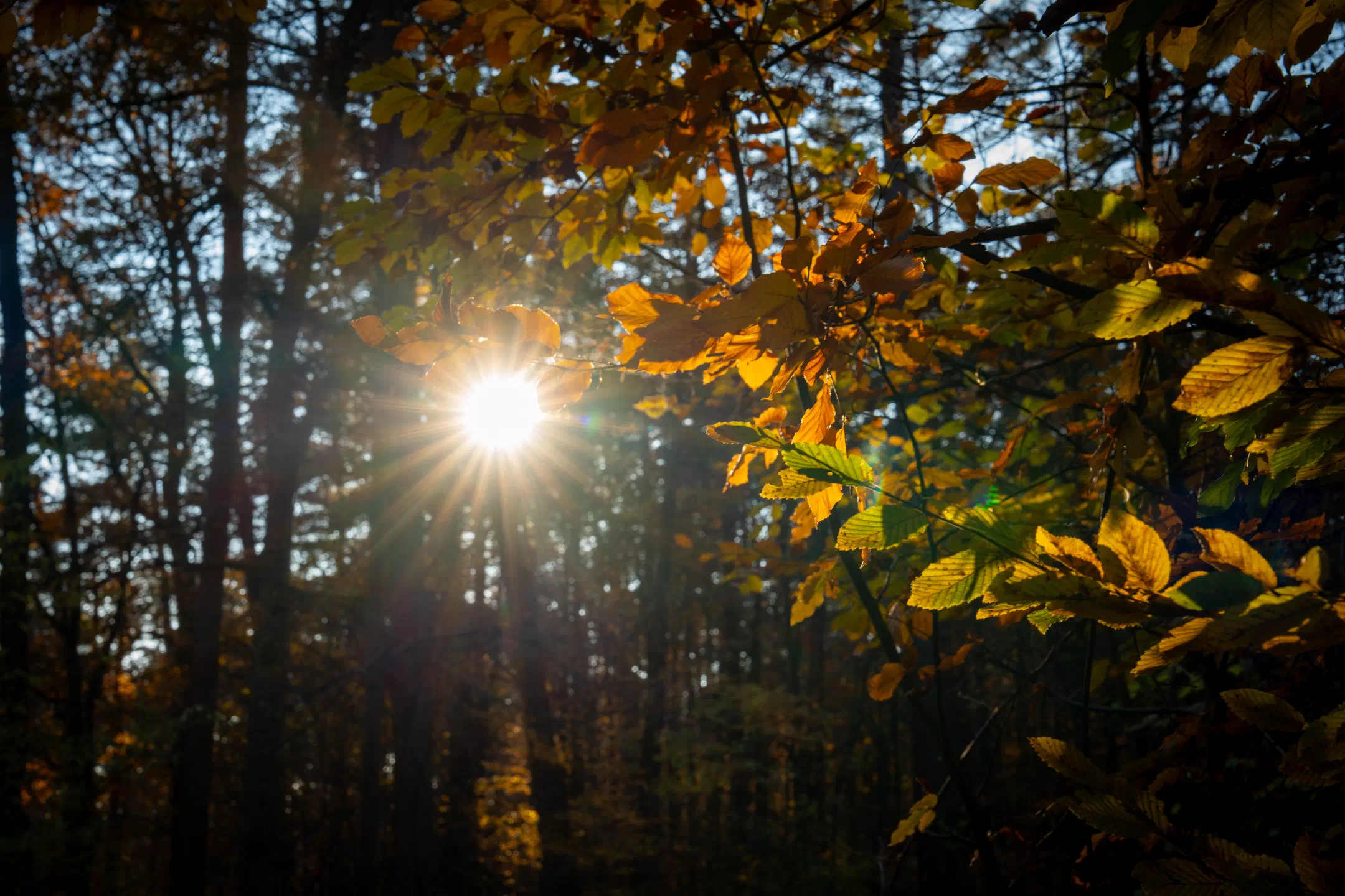 Rathsberg