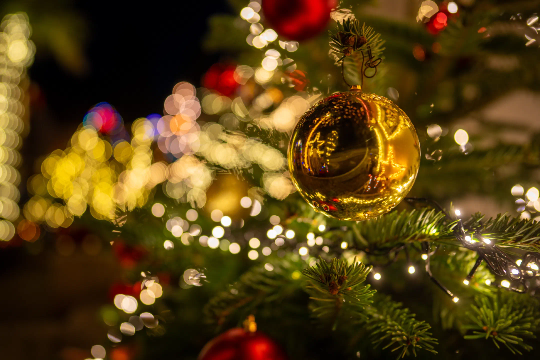 Merry Christmas