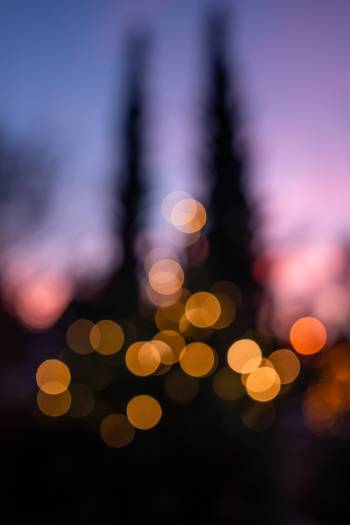 Christmas Lights | 1/30s * f2.8 * ISO 320 * 26mm - FE 24-70mm F2.8 GM II - Sony α7 IV Christmas Lights