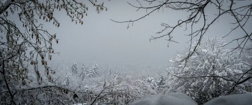 Snowy Burgberg
