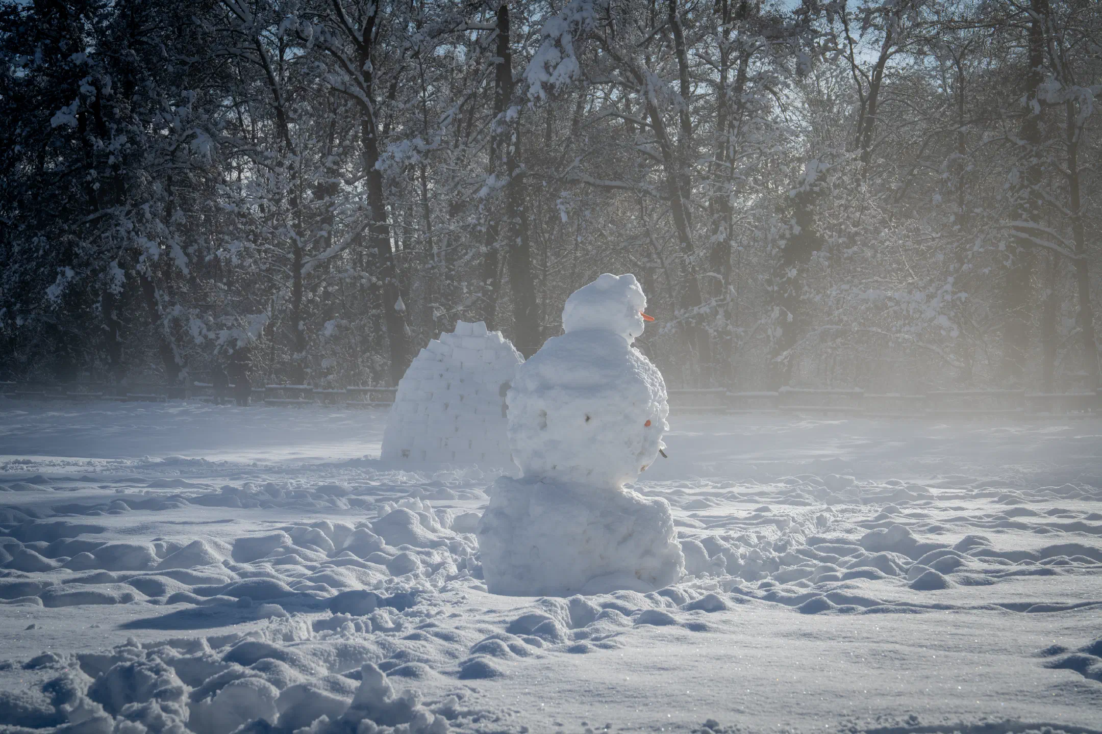 Snow sculptures